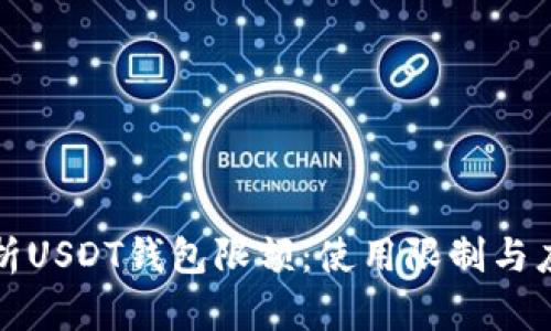 深入解析USDT钱包限额：使用限制与应对策略