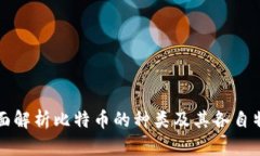 全面解析比特币的种类及其各自特点