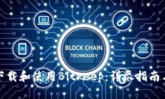 如何安全下载和使用Bitkeep：详尽指南与实用技巧